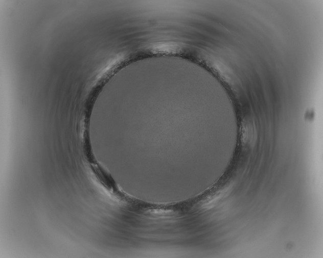 X0000090490637200707272341