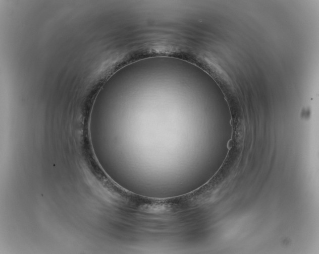 X0000090490639200707272341