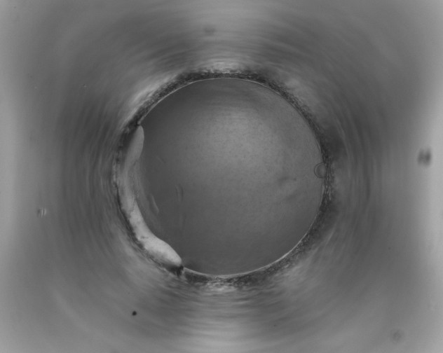 X0000090490640200707272341