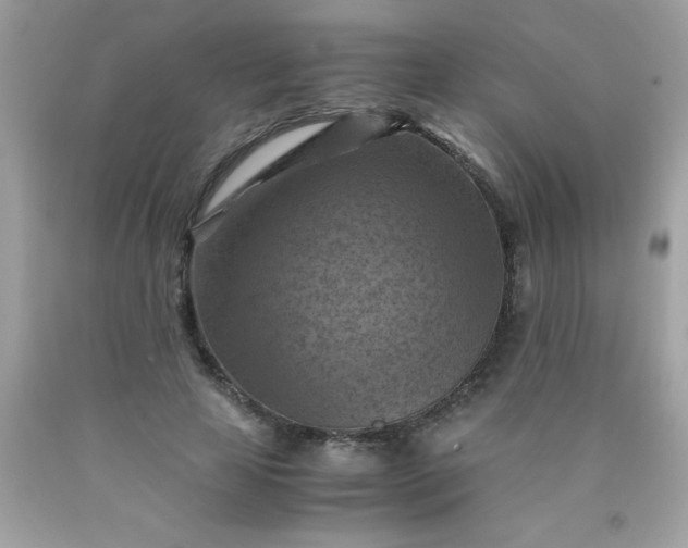 X0000090490641200707272341