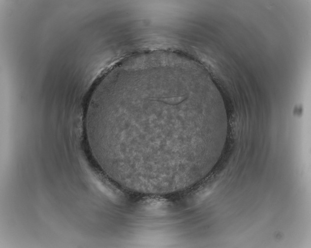 X0000090490642200707272341