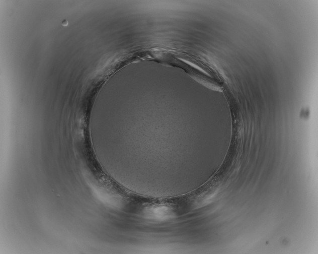 X0000090490643200707272341