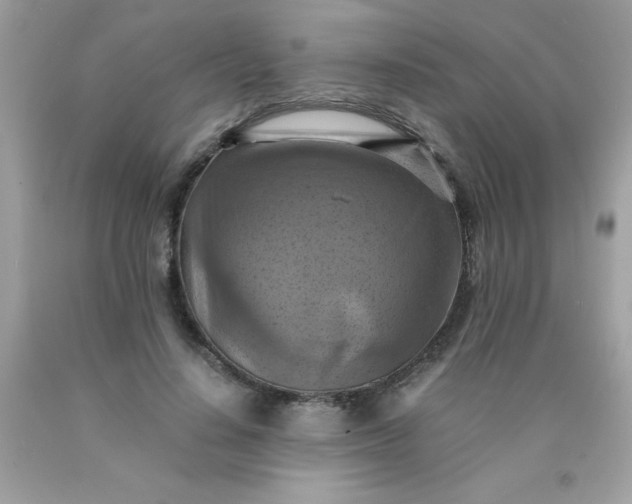 X0000090490644200707272341
