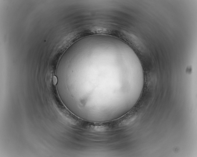 X0000090490645200707272341