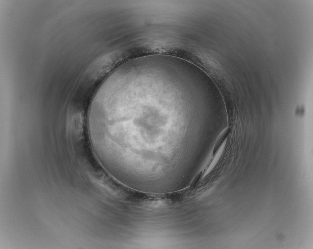 X0000090490646200707272341