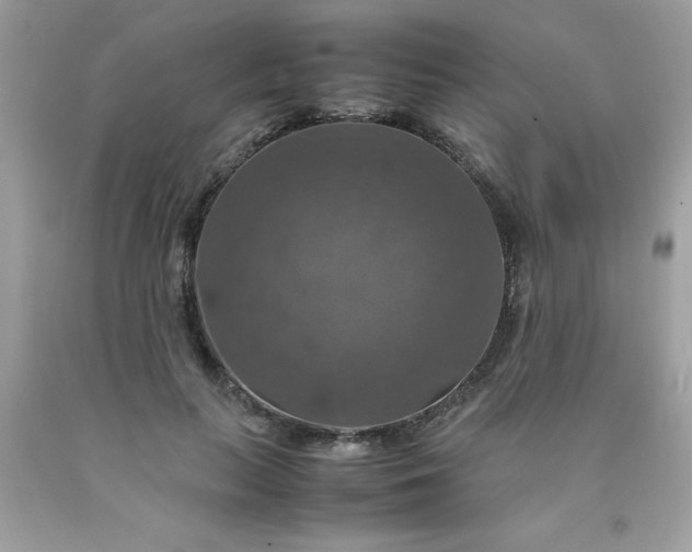 X0000090490647200707272341
