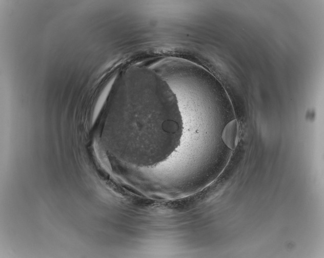 X0000090490648200707272341