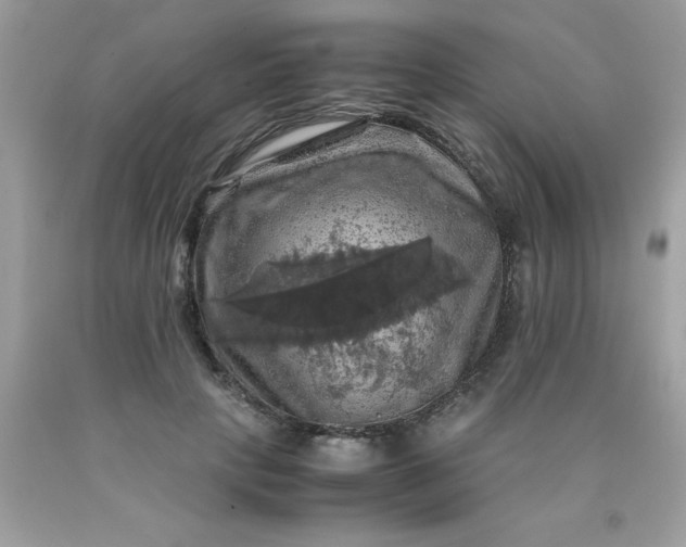 X0000090490649200707272341