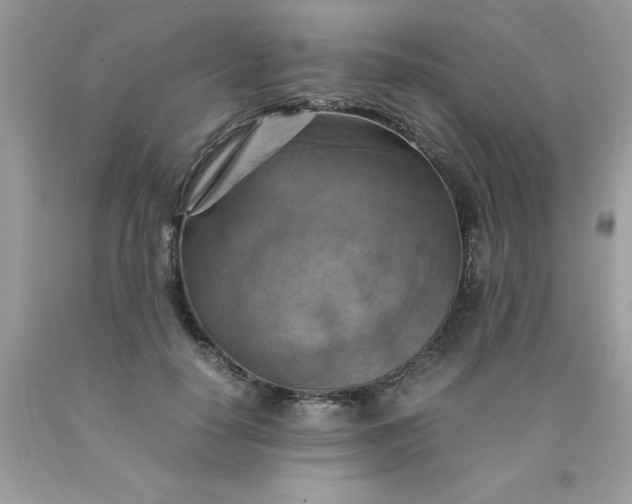 X0000090490650200707272341