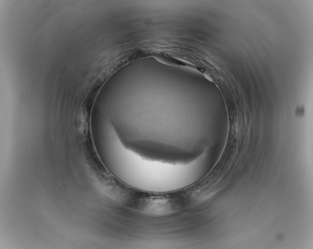 X0000090490651200707272341