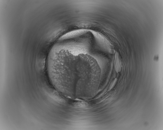 X0000090490652200707272341