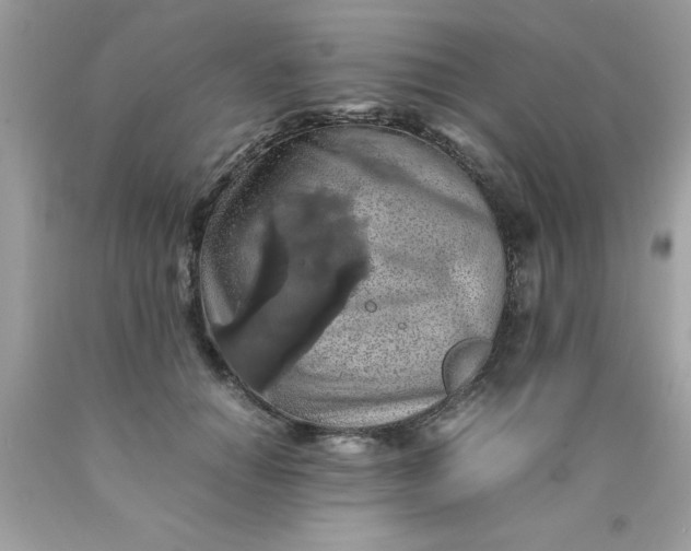 X0000090490654200707272341