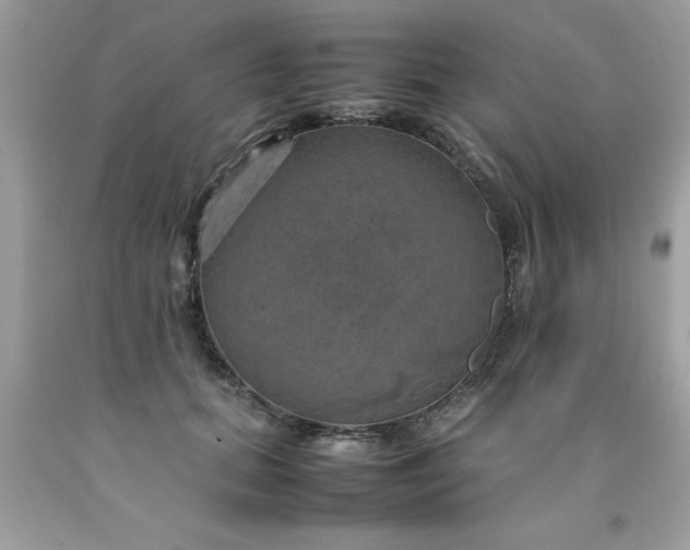 X0000090490655200707272341