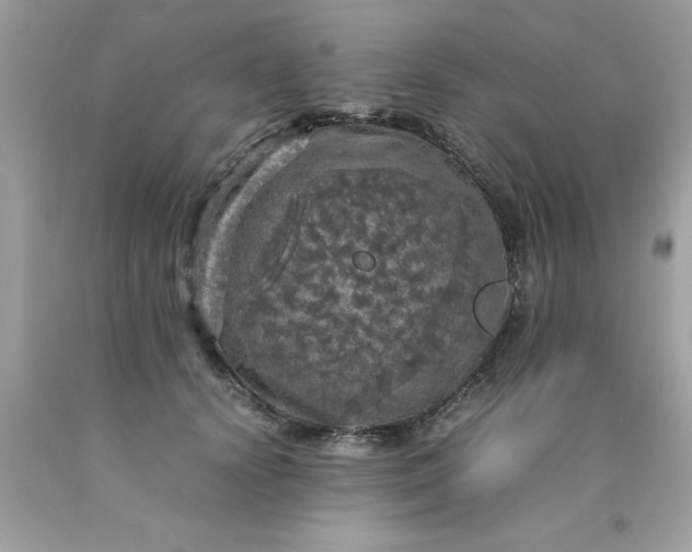 X0000090490656200707272341