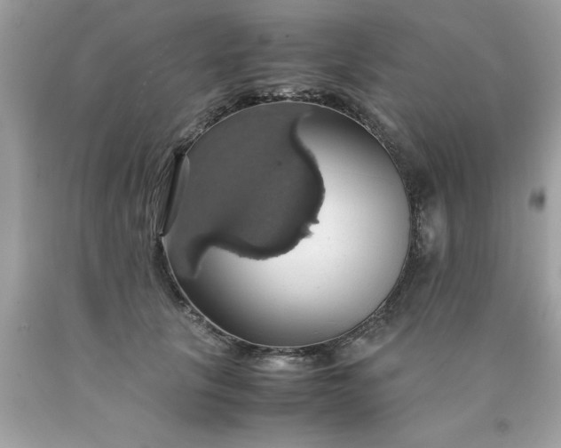 X0000090490657200707272341