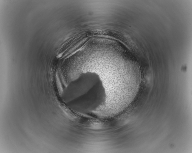 X0000090490658200707272341