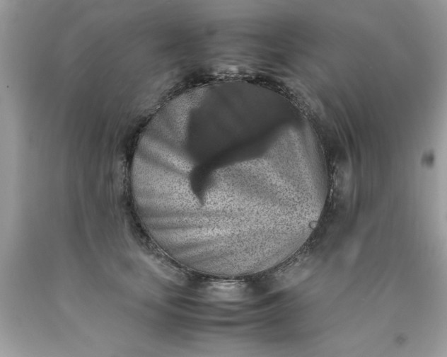 X0000090490659200707272341