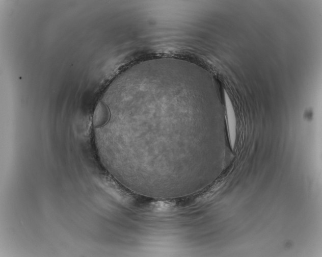 X0000090490660200707272341