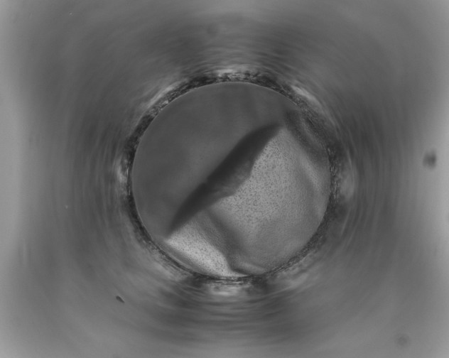 X0000090490661200707272342