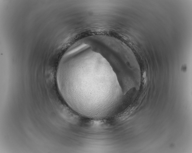 X0000090490662200707272342
