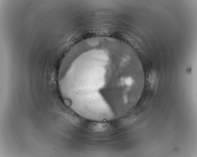 X0000090490663200707272342