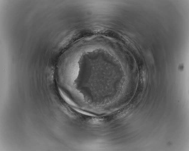 X0000090490664200707272342
