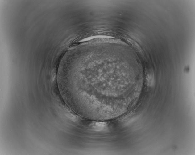 X0000090490665200707272342