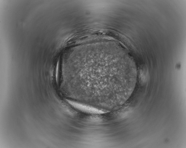 X0000090490668200707272342