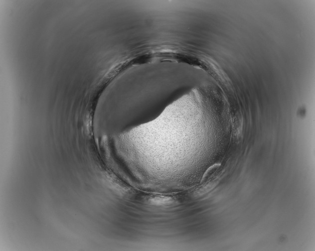 X0000090490669200707272342