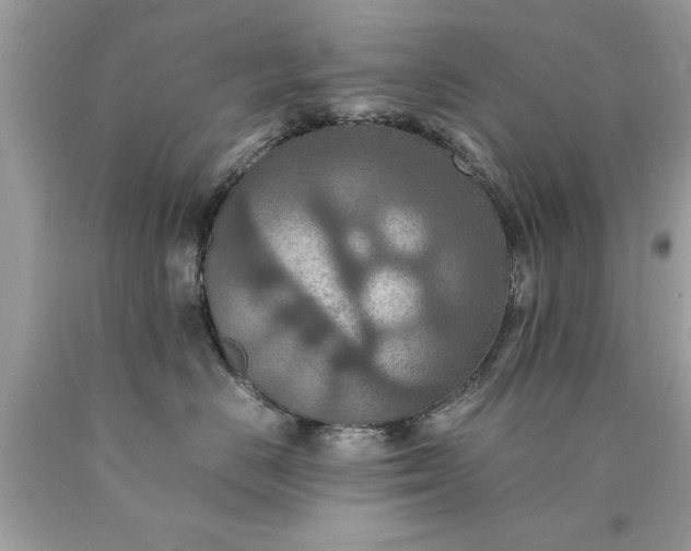 X0000090490670200707272342