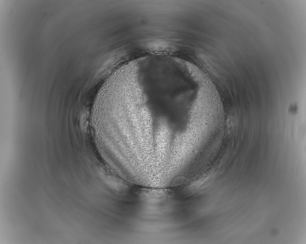 X0000090490671200707272342