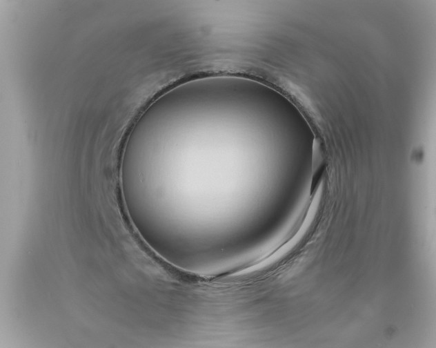 X0000090490673200707272341