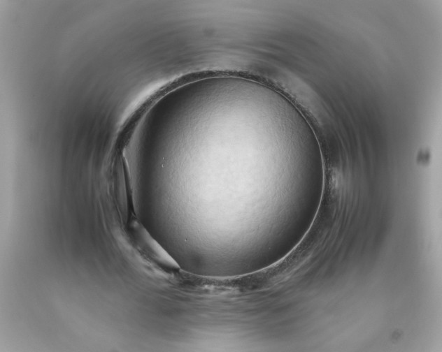 X0000090490676200707272341