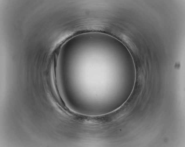 X0000090490677200707272341