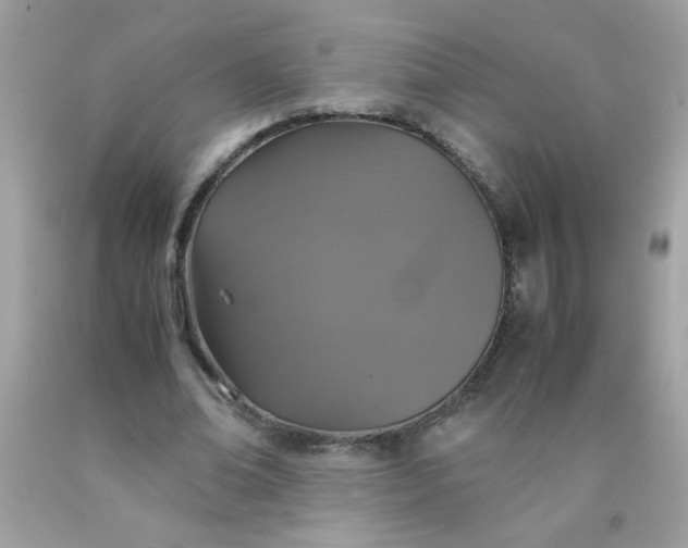 X0000090490678200707272341