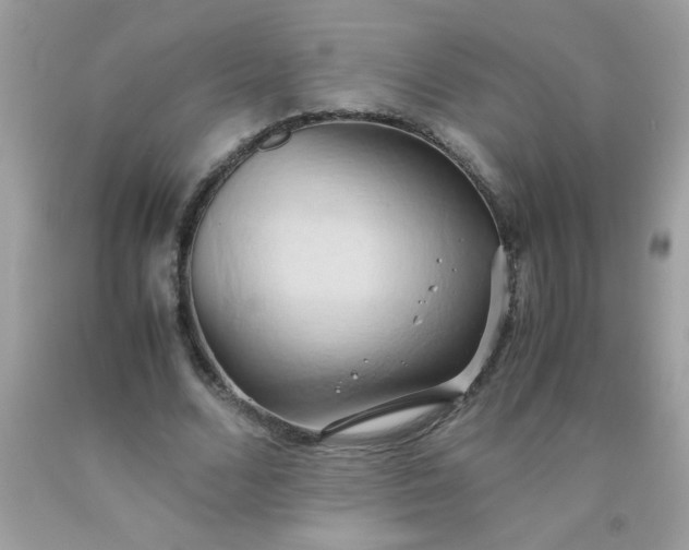 X0000090490680200707272341