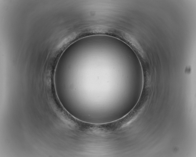 X0000090490681200707272341