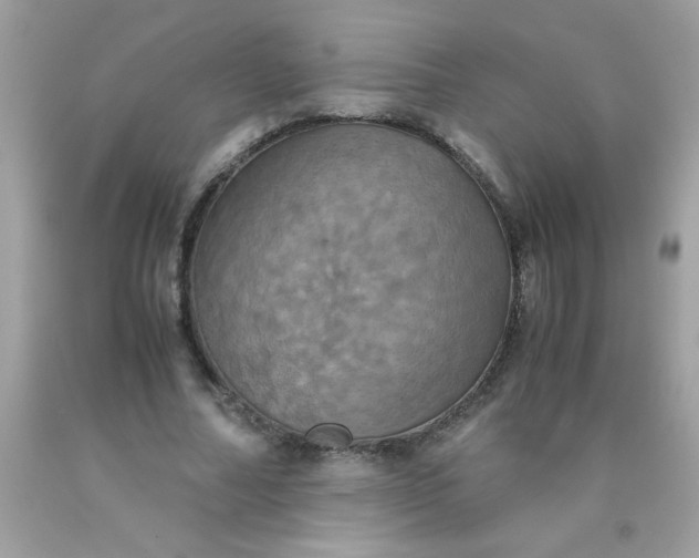 X0000090490682200707272341