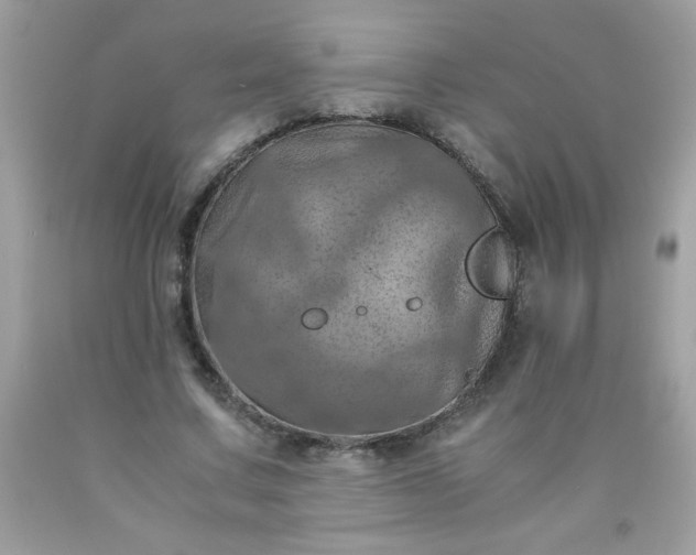 X0000090490683200707272341