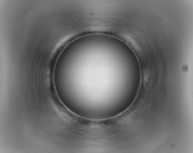X0000090490684200707272341