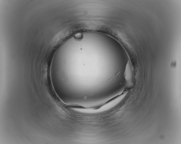 X0000090490685200707272341