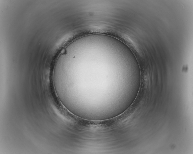 X0000090490686200707272341