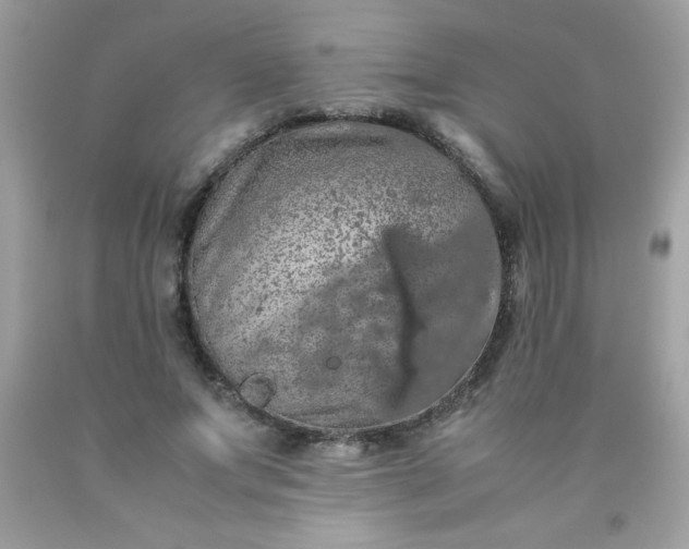 X0000090490687200707272341