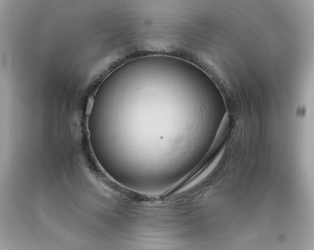 X0000090490688200707272341