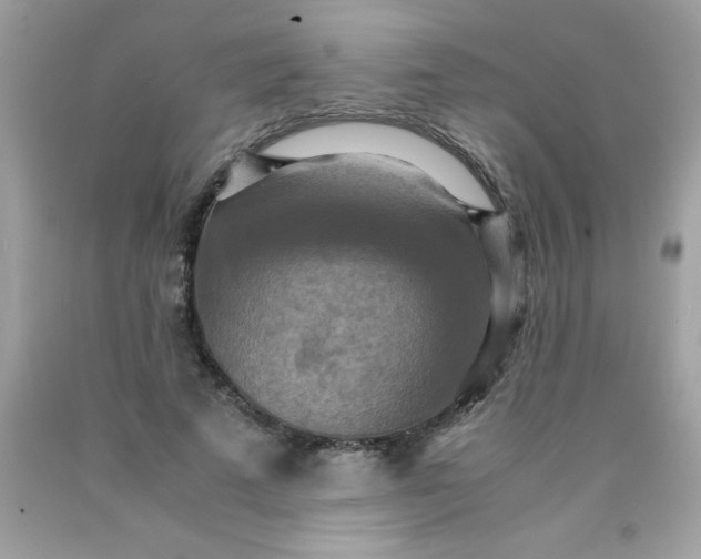 X0000090490689200707272341