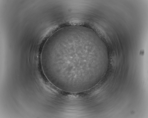 X0000090490690200707272341
