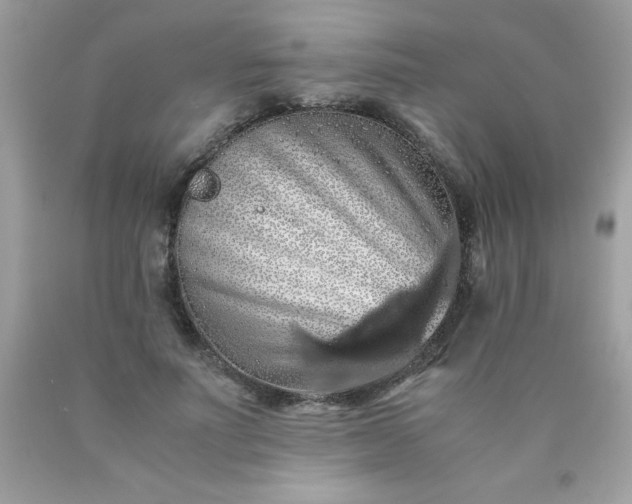 X0000090490691200707272341