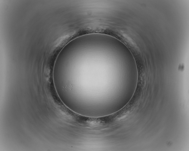X0000090490693200707272341