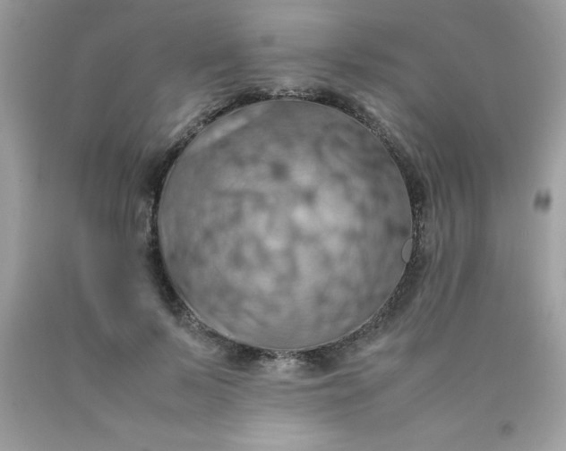 X0000090490695200707272340