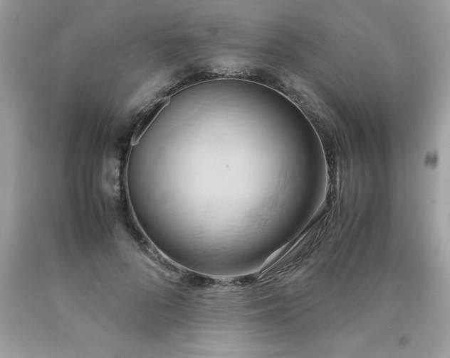 X0000090490696200707272340